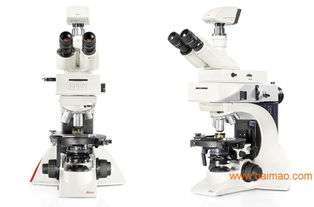 进口显微镜性价比之选 徕卡品牌深度解析与市场对比